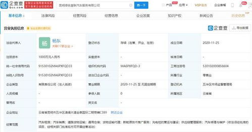 吉利新成立8家公司，技術推廣服務成核心戰略